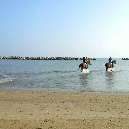 Casa La Rosa Bianca Apartment